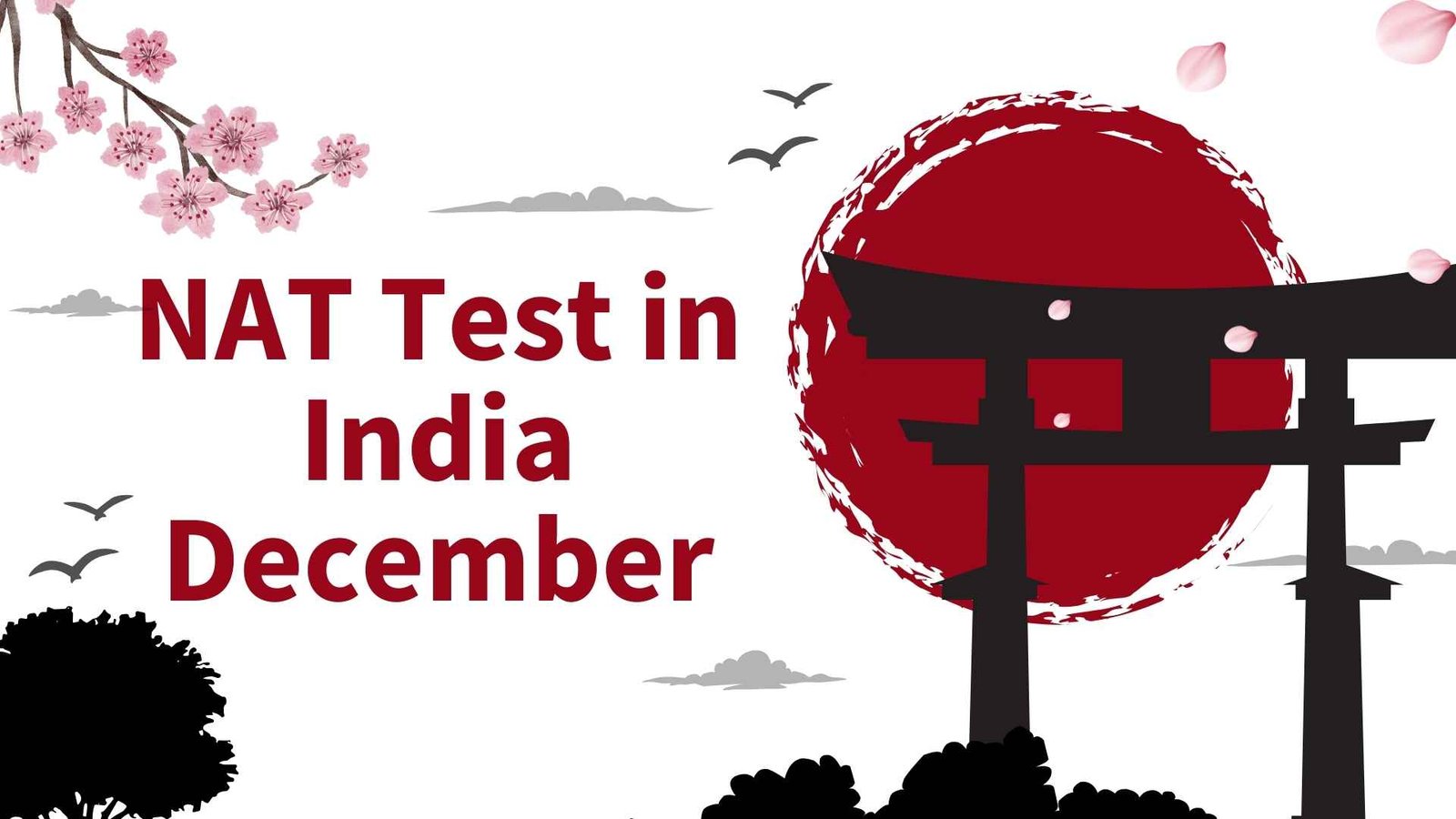 NAT+Test+in+India+December%3A+Complete+Guide+for+Exam+Centers+and+Dates